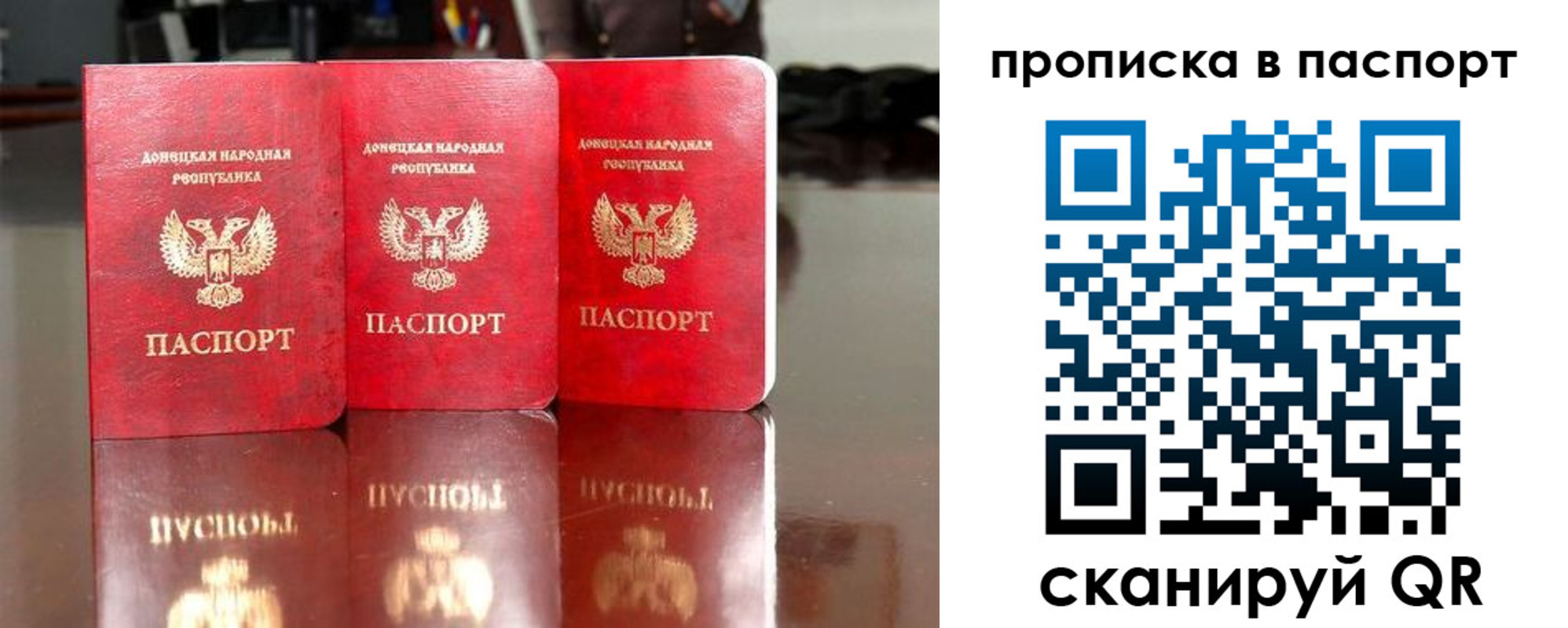 прописка поиск в Мурманской области