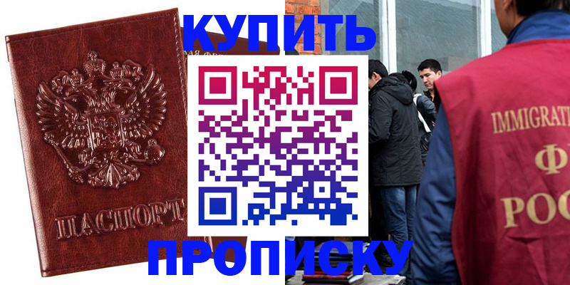 прописка для школы в Мурманской области